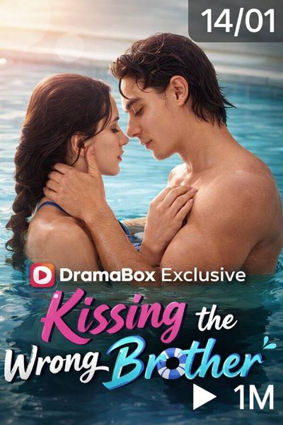 Capa da minisserie Beijando o Irmão Errado Kissing the Wrong Brother